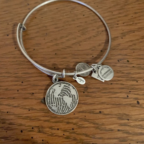 Alex and Ani Jewelry - Alex and Ani World Map Bracelet - Silver